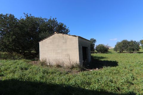 Herregård i Ispica, Ragusa, Ispica - € 120 000 | Ref: V003074 - foto 39